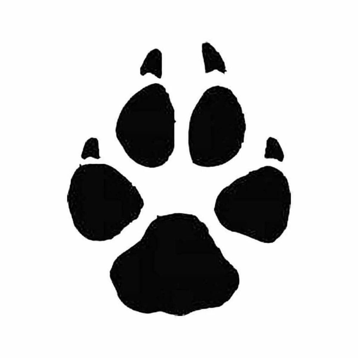 Раскраска Раскраска следы великого лиса