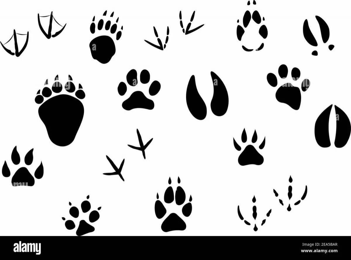 Coloring page tender fox footprints