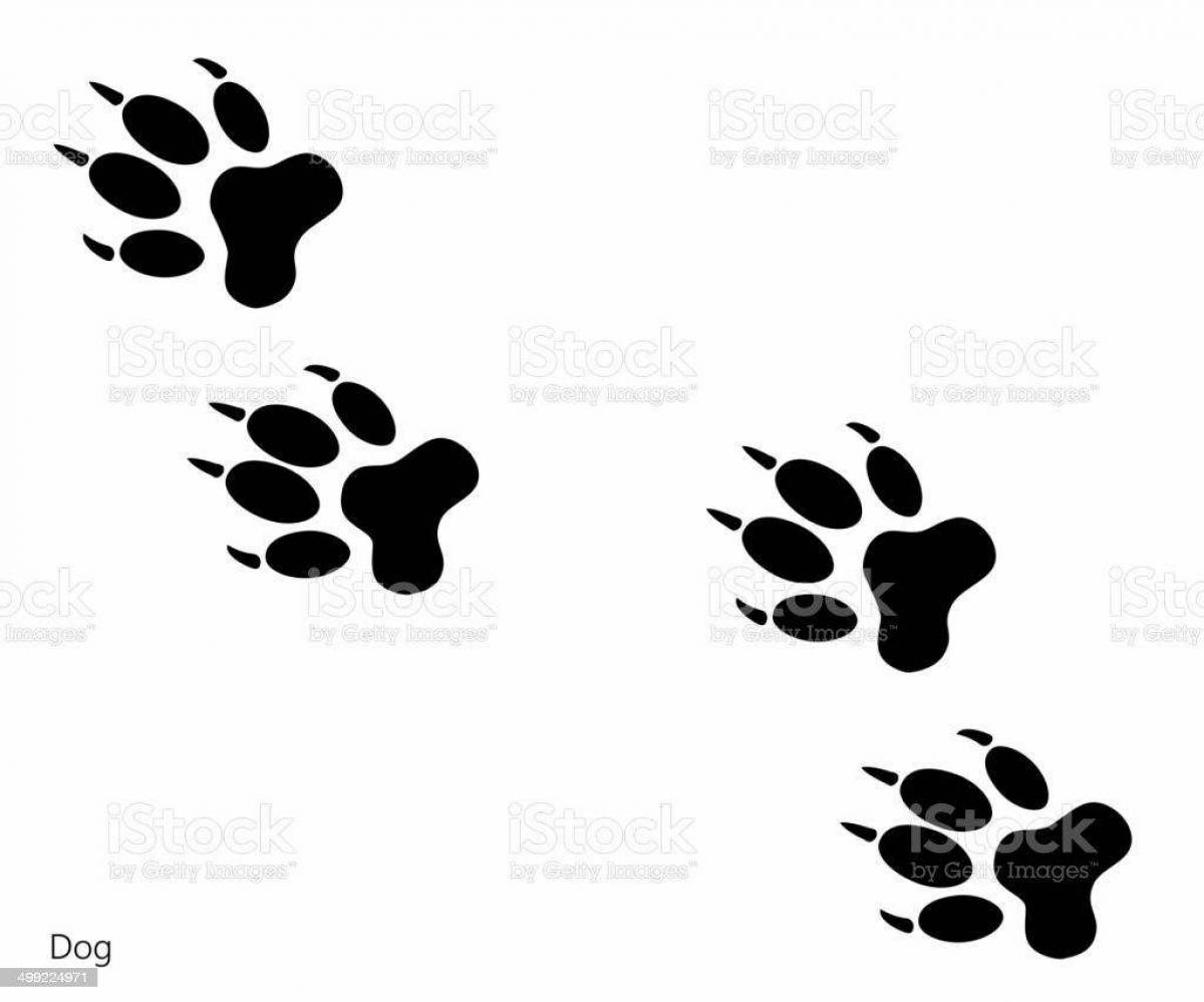 Adorable fox footprint coloring