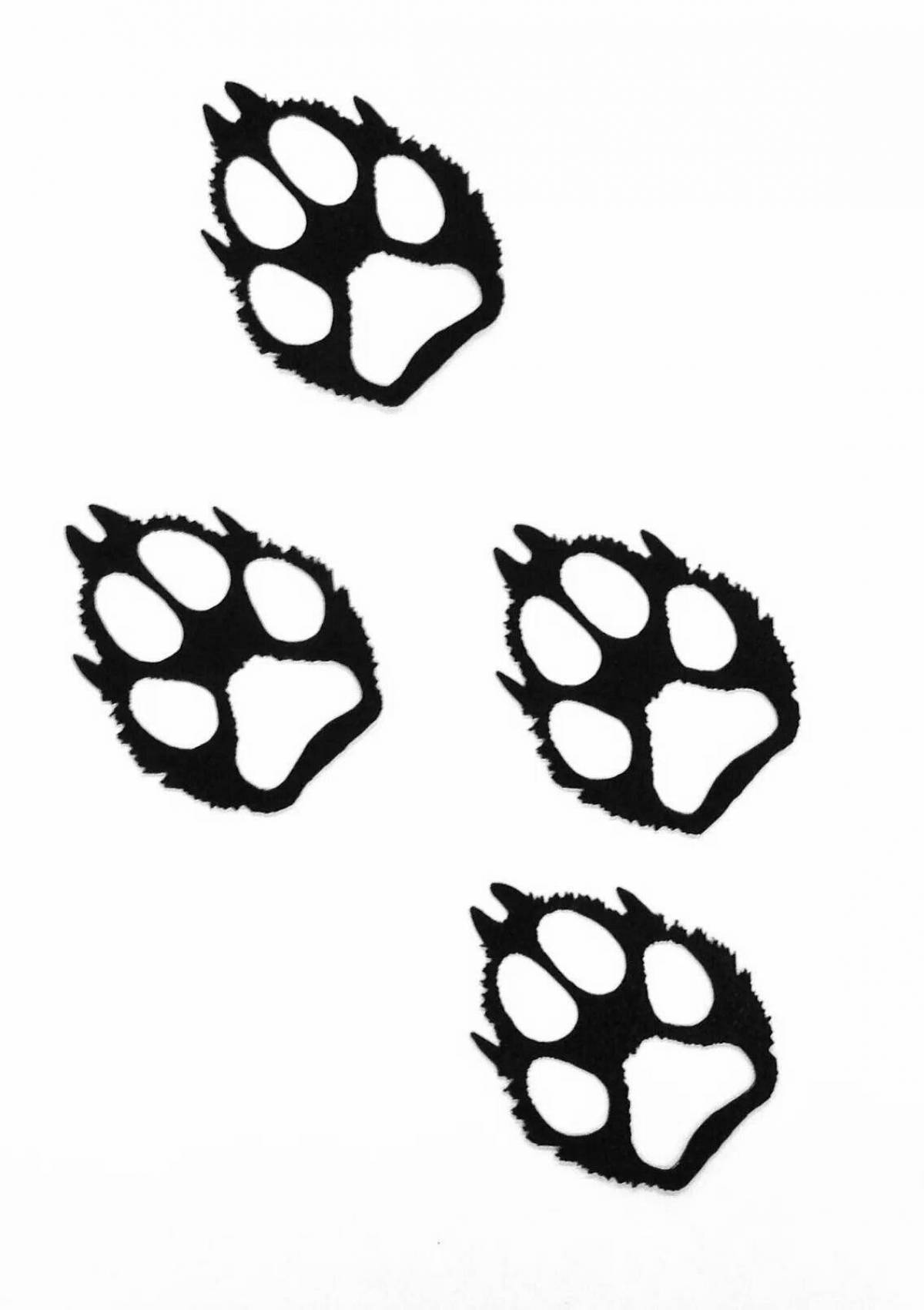 Coloring page cute fox footprints