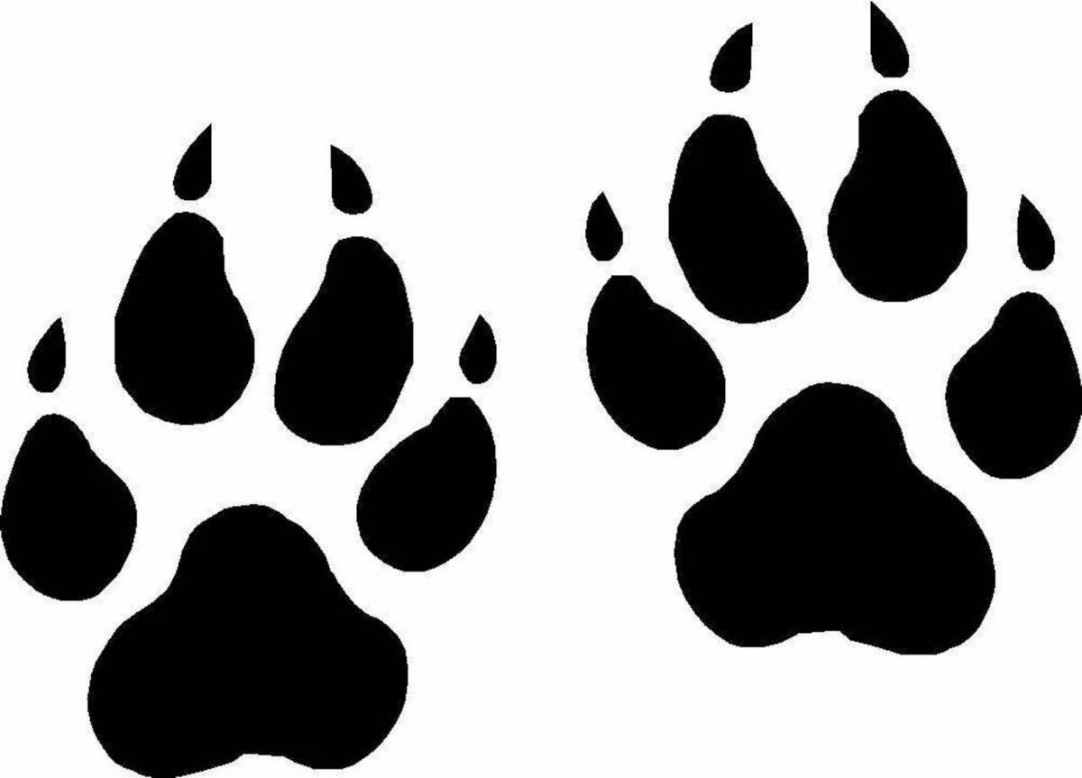 Fox footprints #2