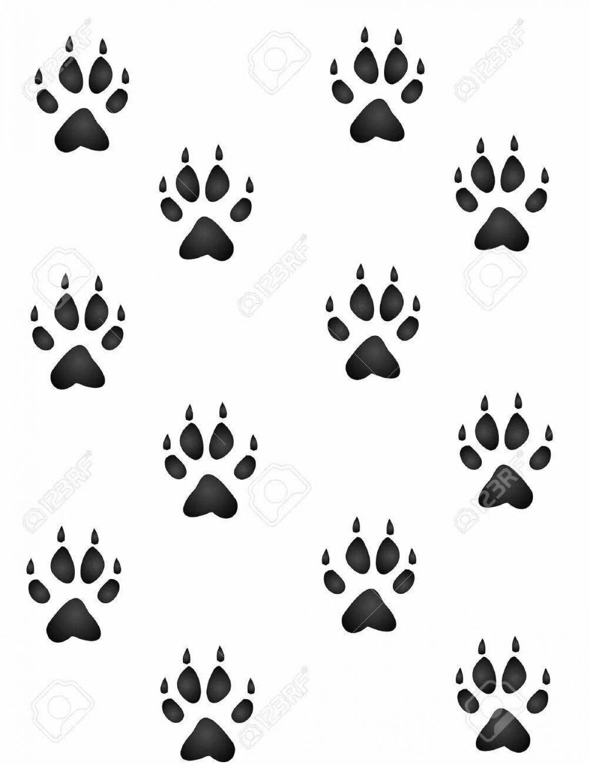 Раскраска Следы лисы #5