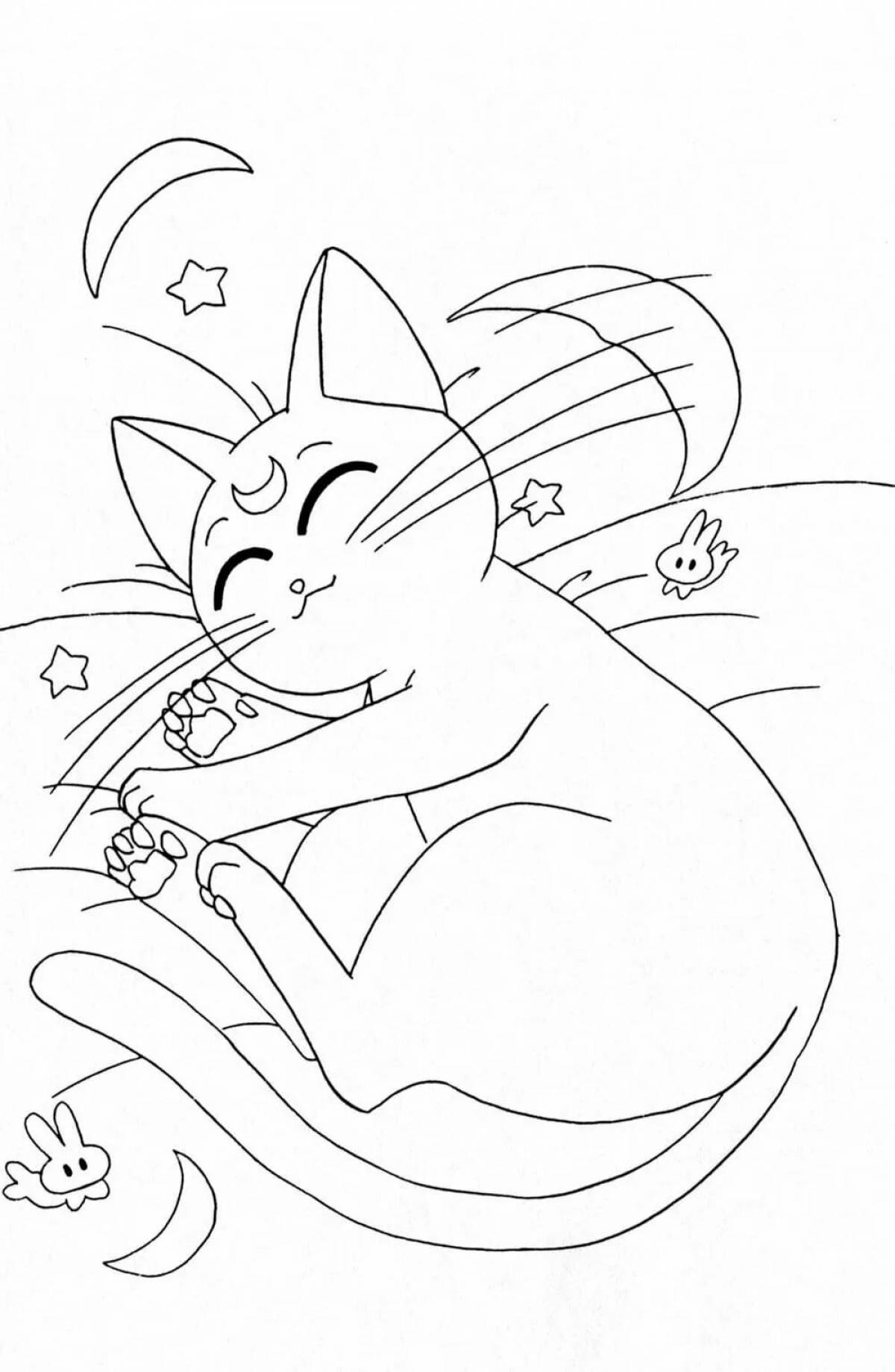 Gorgeous moon cat coloring book