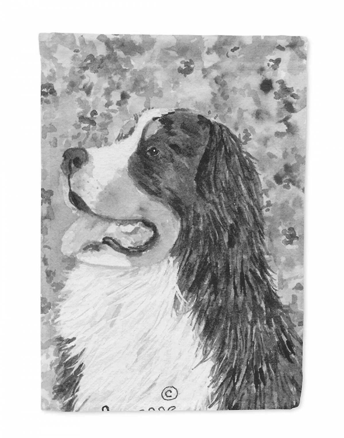 Adorable Bernese Mountain Dog Coloring Page
