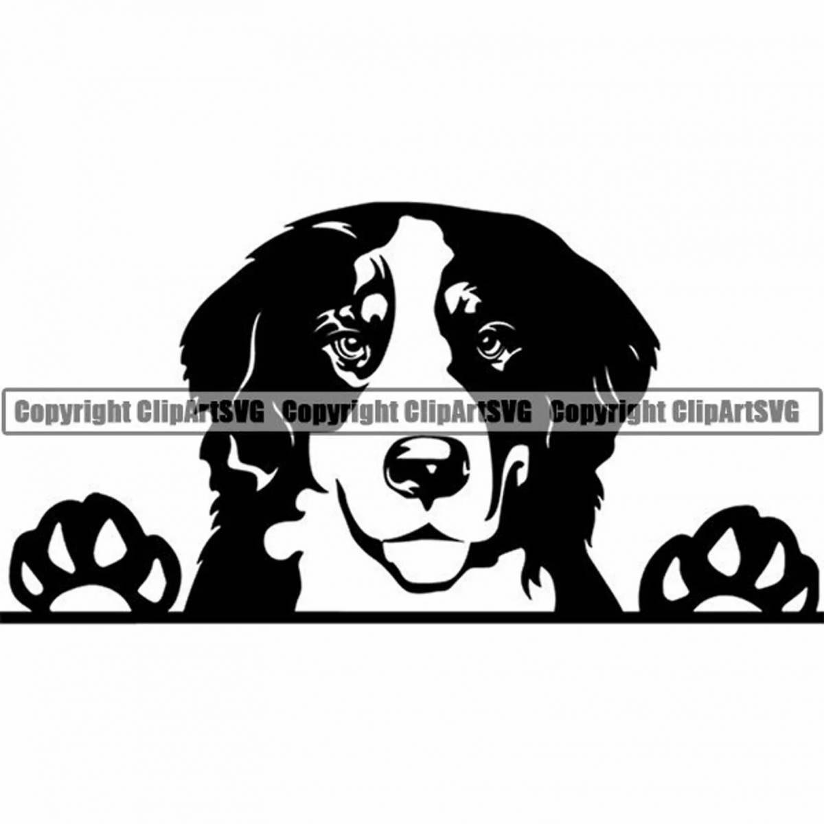 Cute bernese mountain dog coloring page