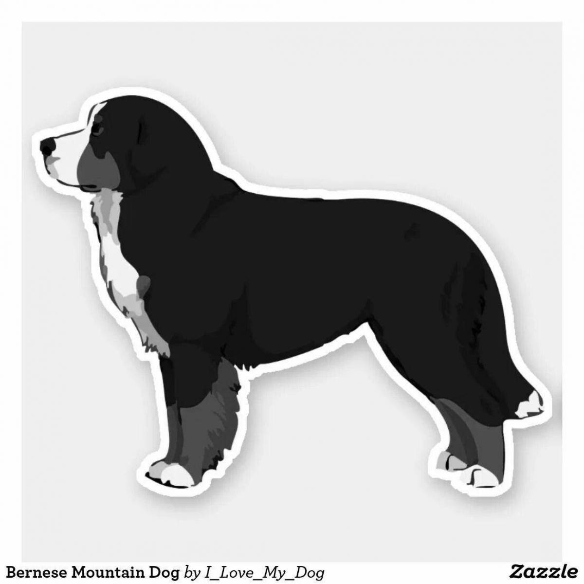 Sweet Bernese Mountain Dog coloring page