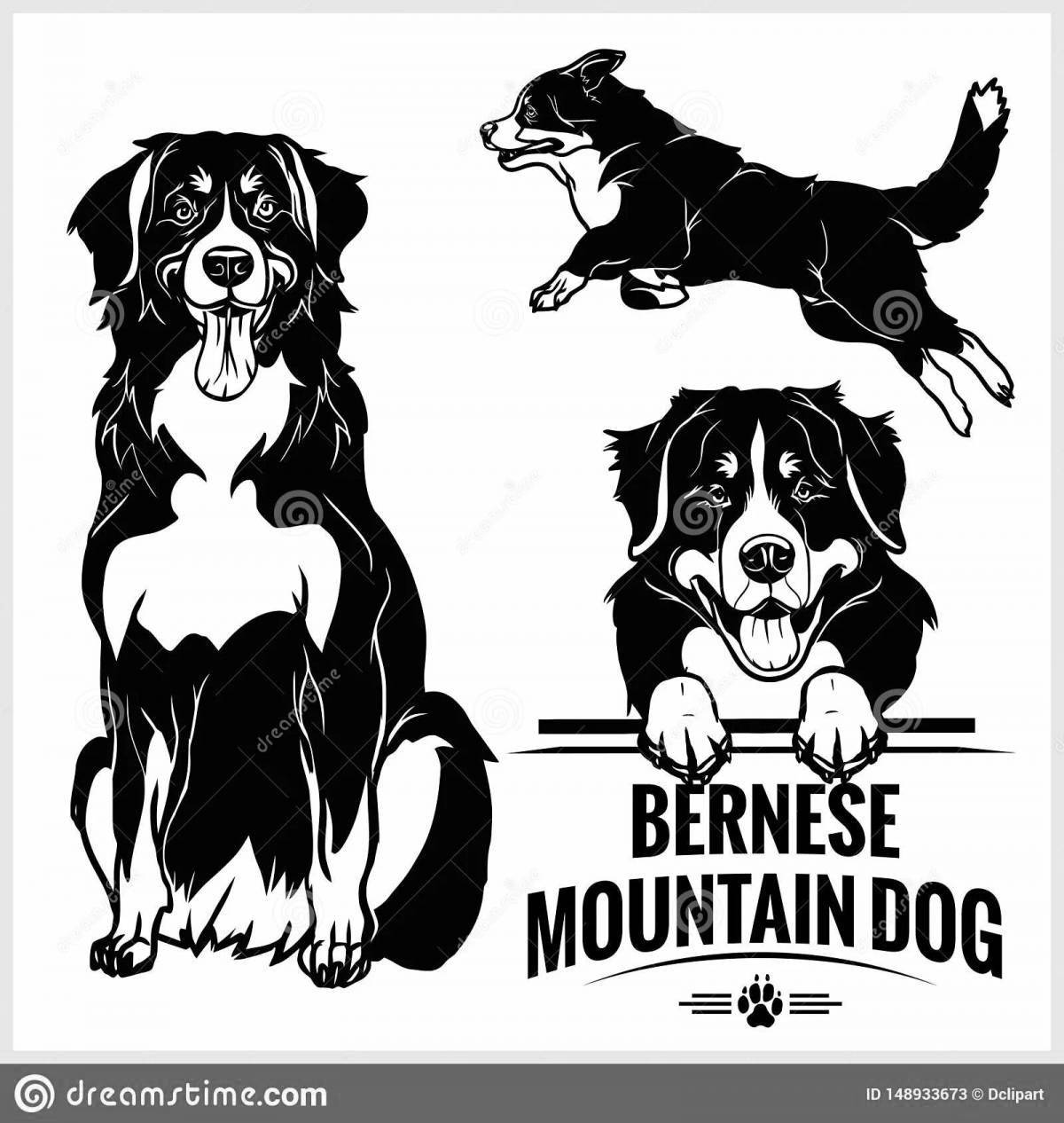 Coloring page Gentle Bernese Mountain Dog