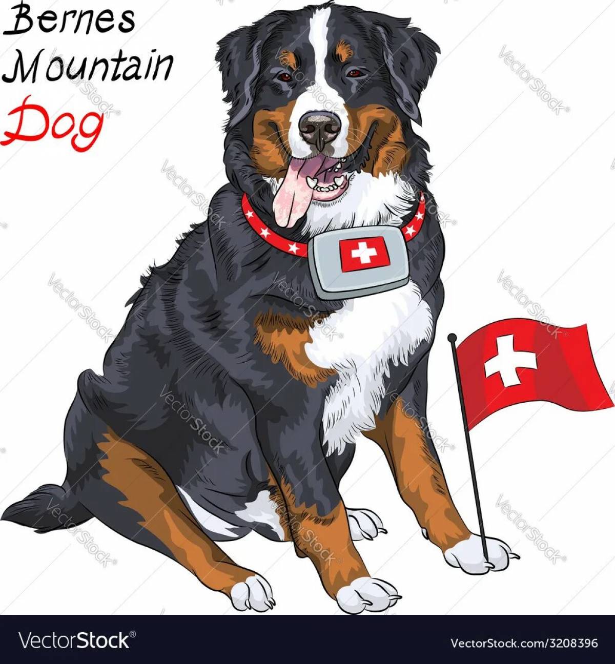 Coloring book noble Bernese Mountain Dog