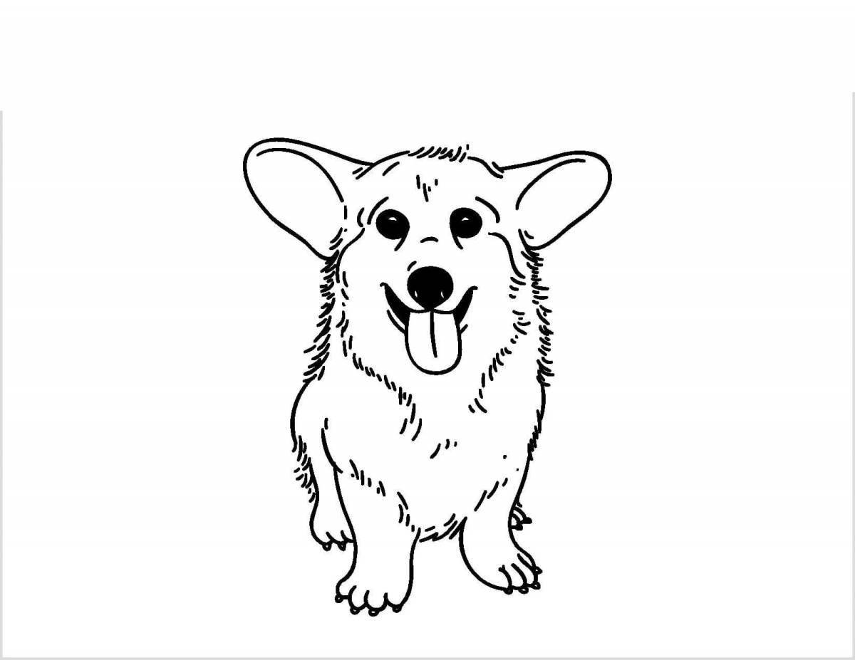 Coloring book playful corgi cuties