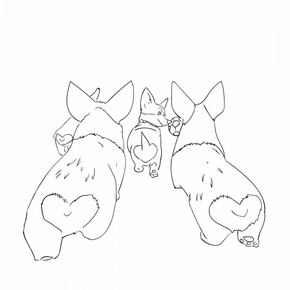 Colouring cute corgis