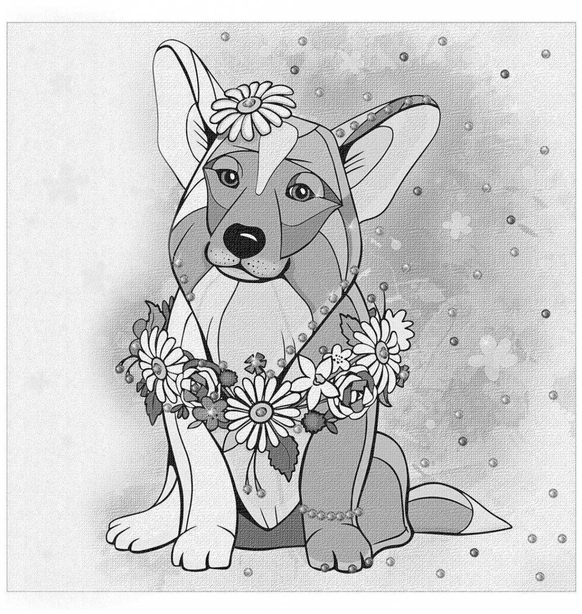 Coloring cute corgi cuties