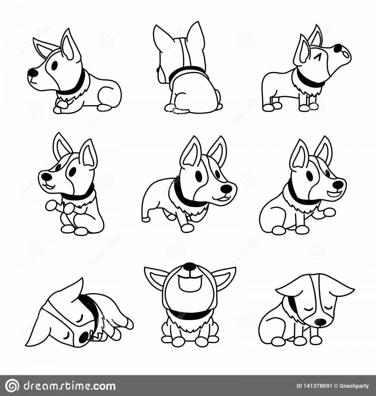 Colouring cuties corgi