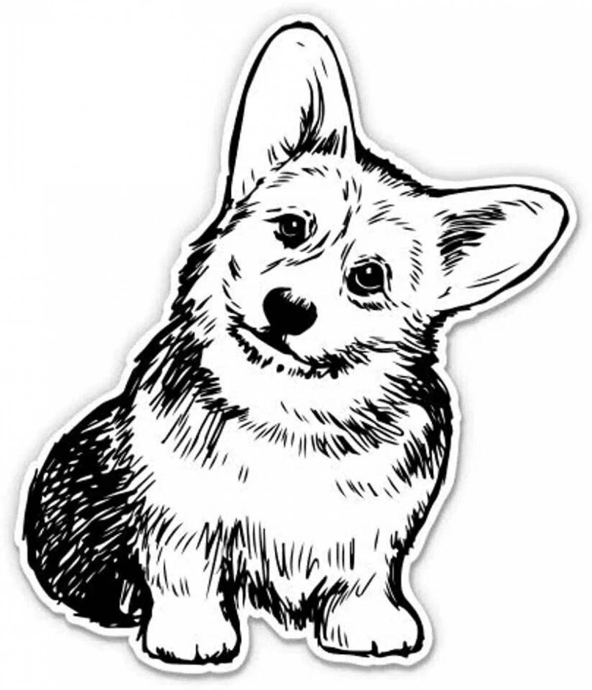 Coloring page cute corgis