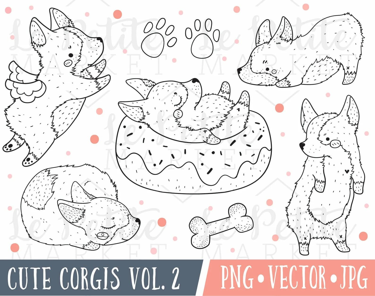 Corgi cuties #8