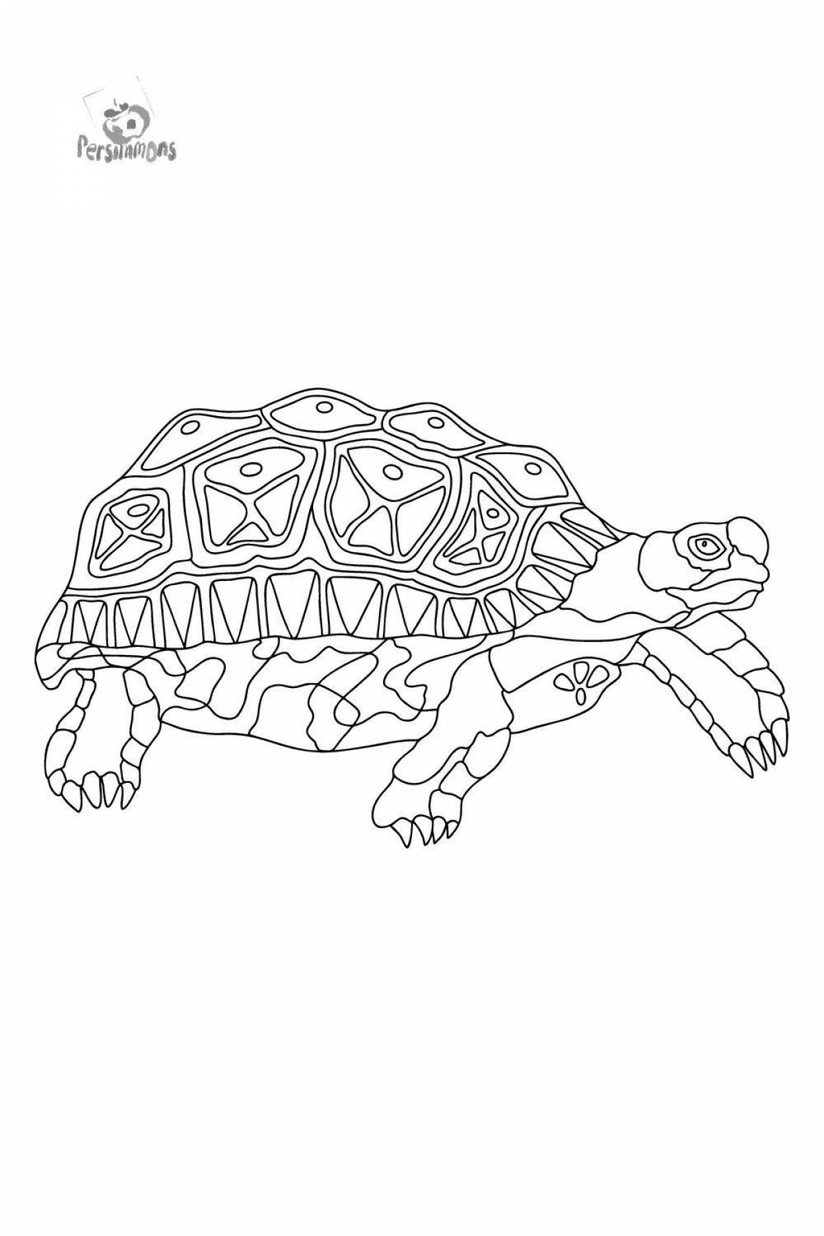 Красочная страница раскраски черепаха майнкрафт