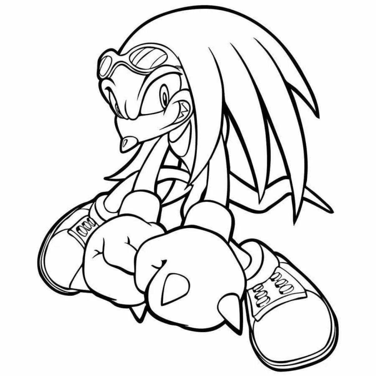 Coloring funny echidna knuckles