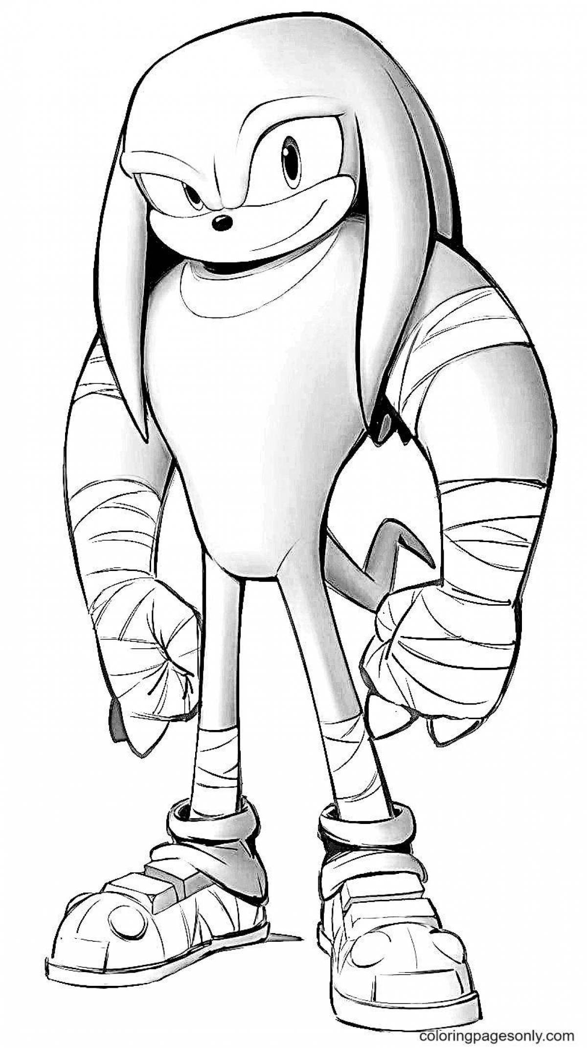 Colouring beautiful echidna knuckles