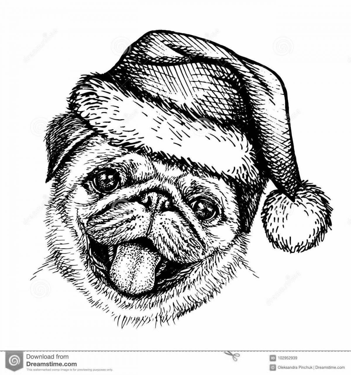 Dazzling pug Christmas coloring book