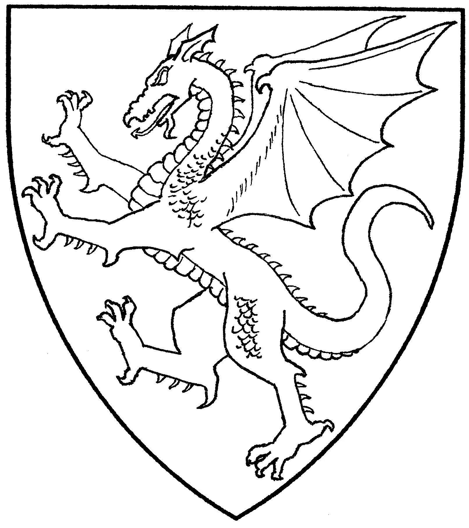 Knight's coat of arms #9