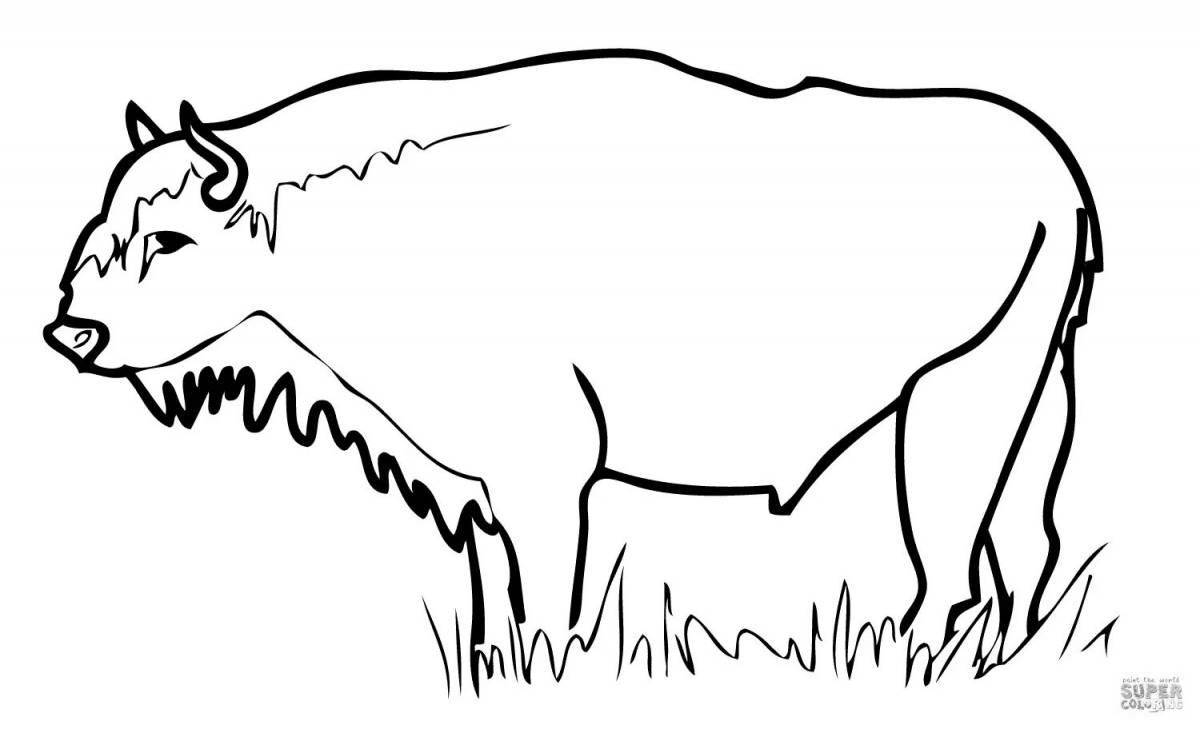Раскраска великолепный бизон