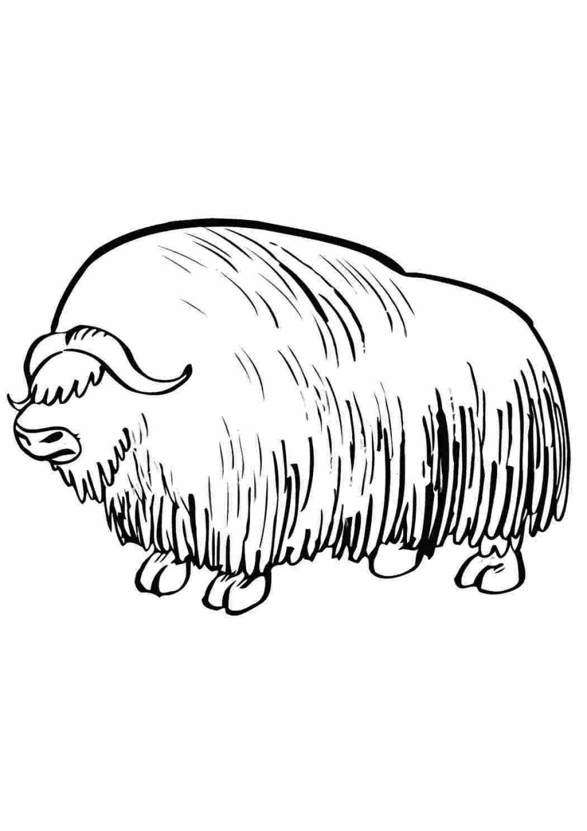 Great bison coloring page
