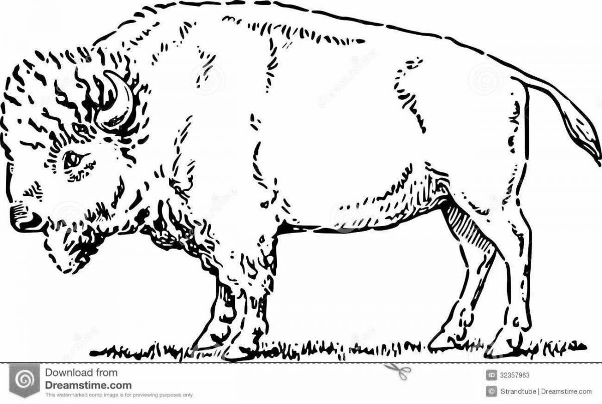 Coloring radiant bison figure