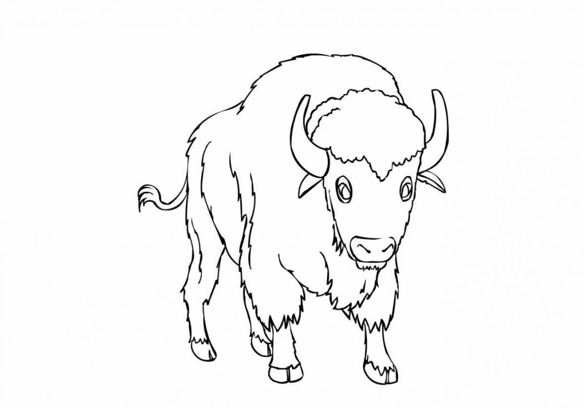 Coloring book king bison figurine