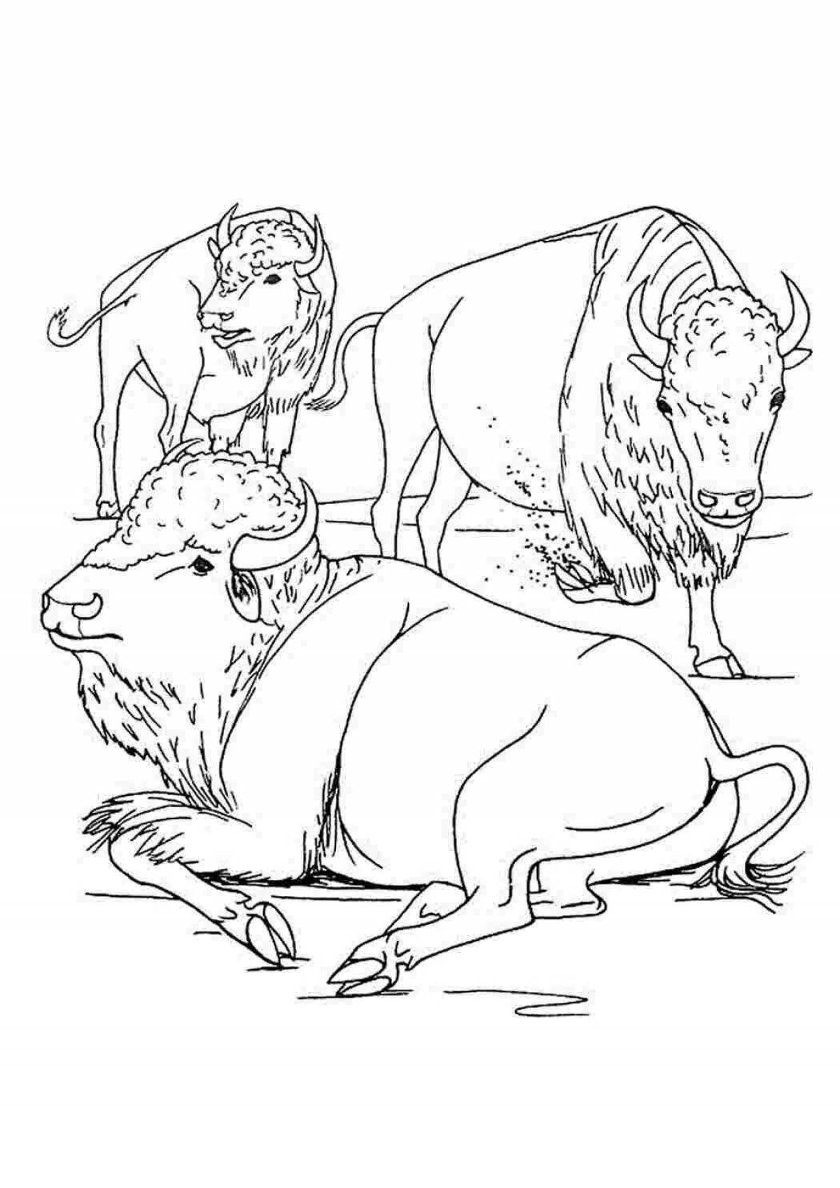 Coloring book shiny bison figurine