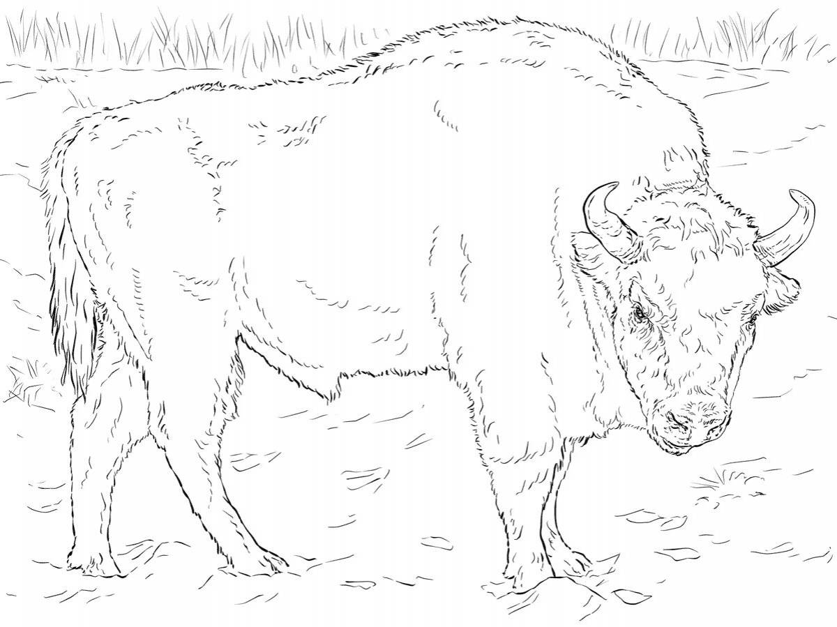 Coloring big bison figurine