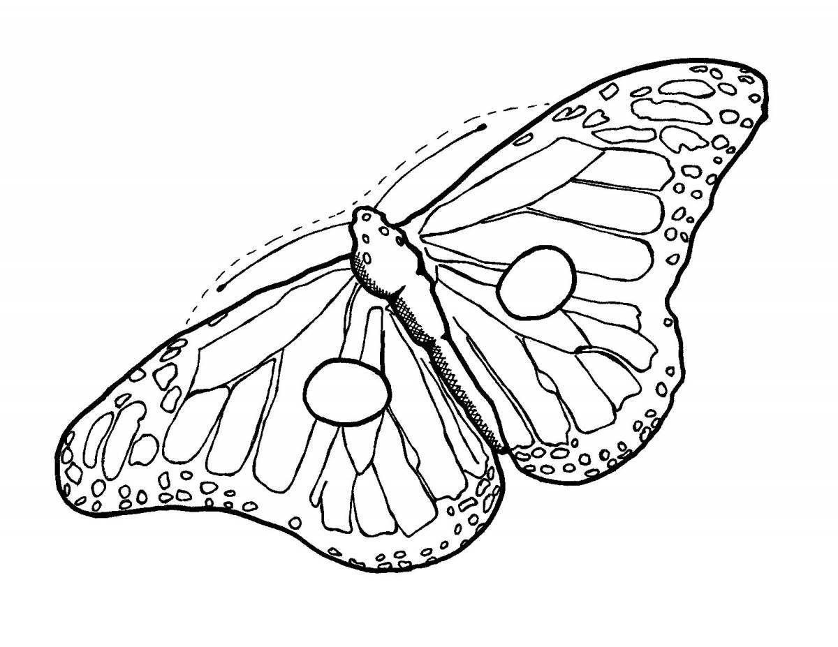 Очаровательная раскраска бабочка аполлон