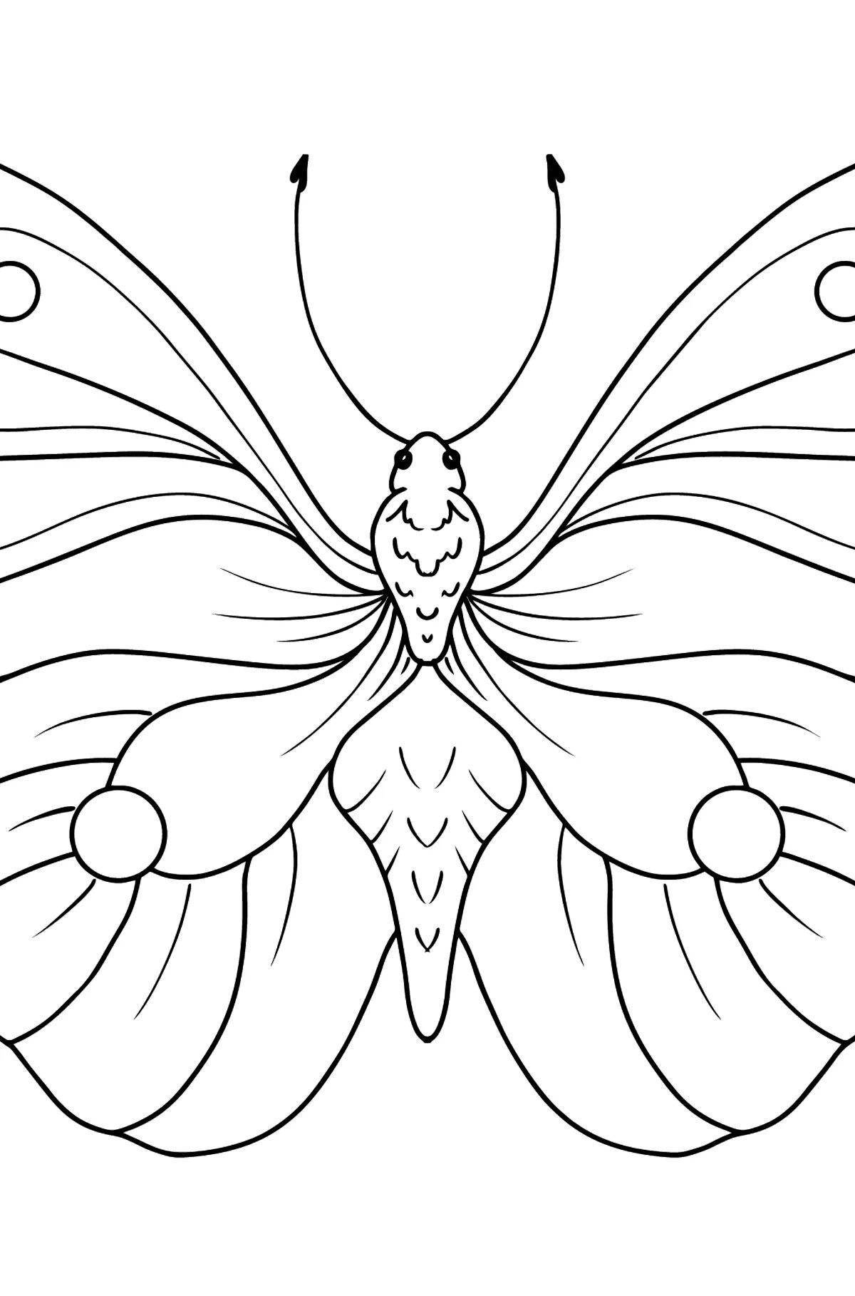 Безупречная раскраска бабочка аполлон