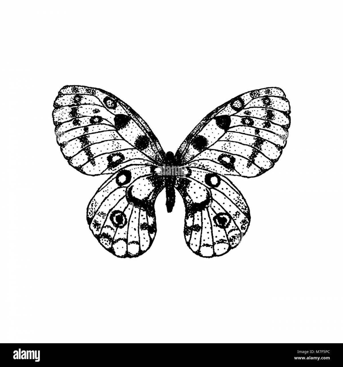 Apollo Butterfly Luminous Coloring Page