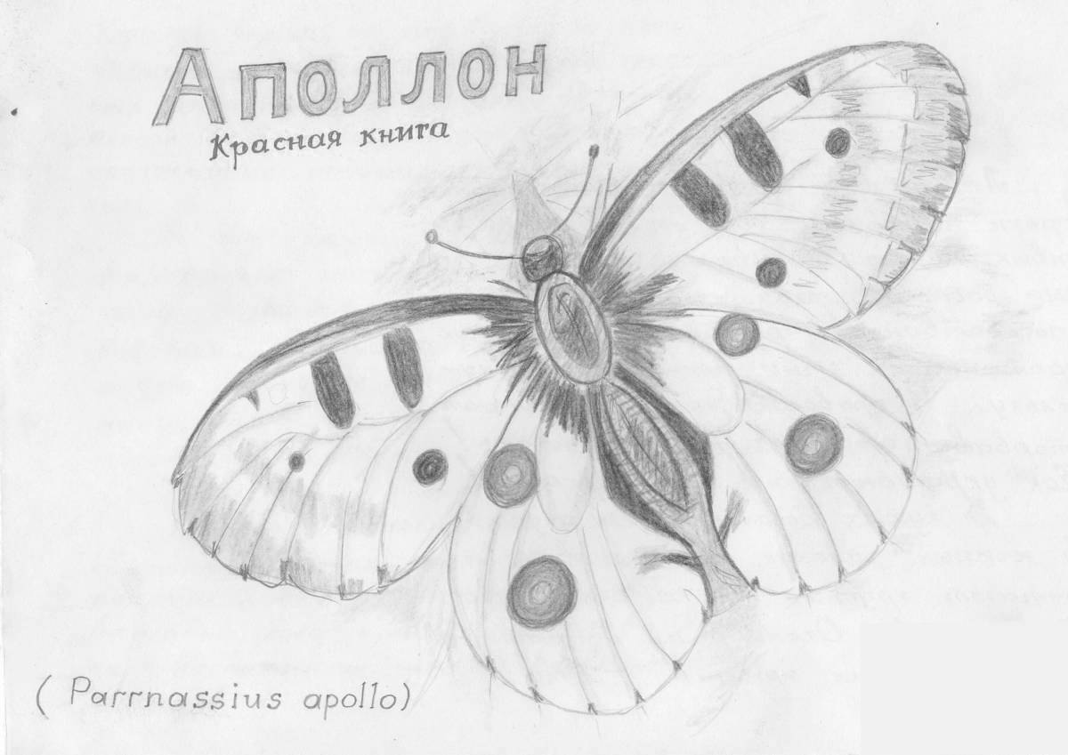 Радостная раскраска бабочка аполлон