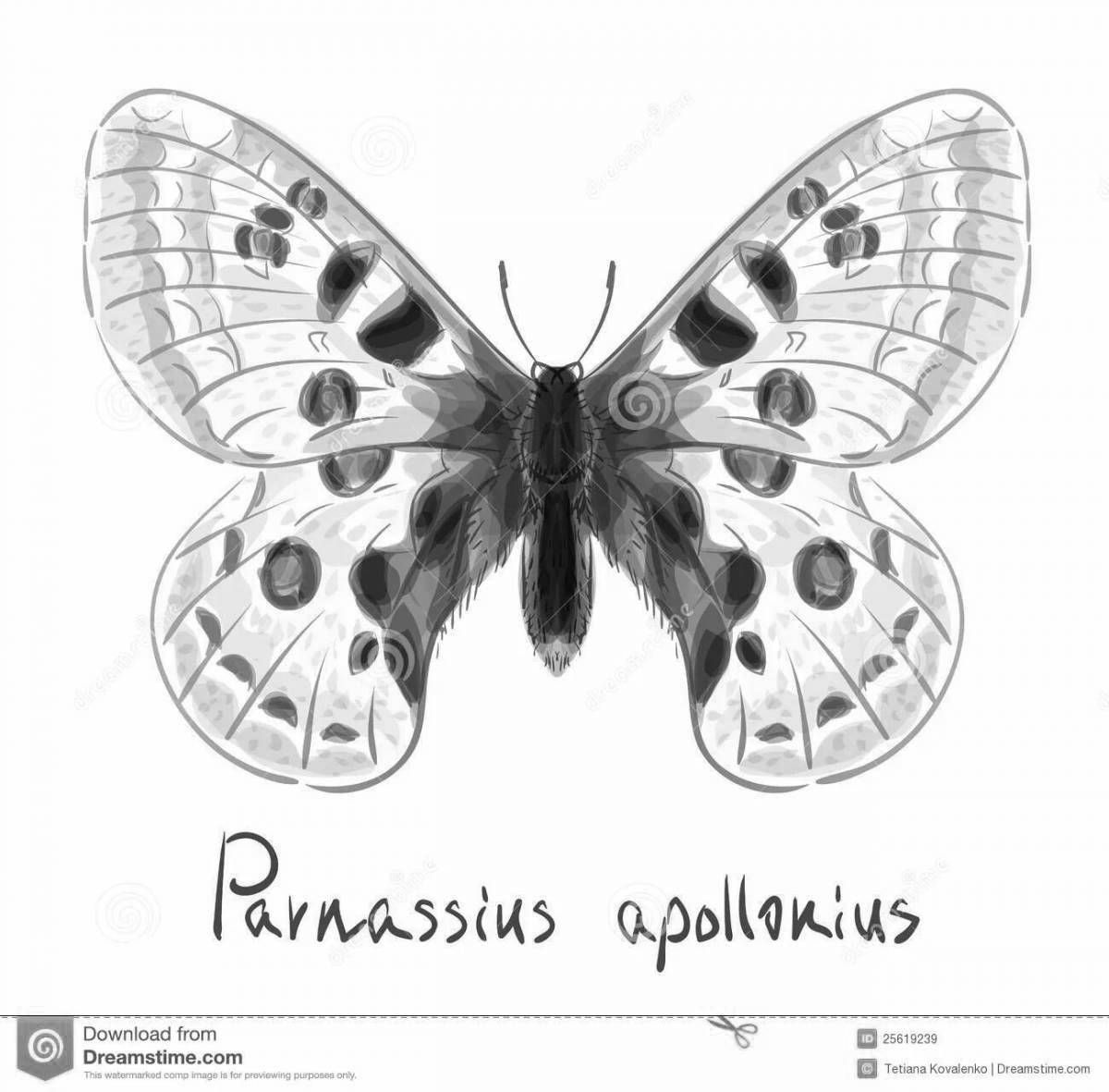Apollo butterfly coloring page