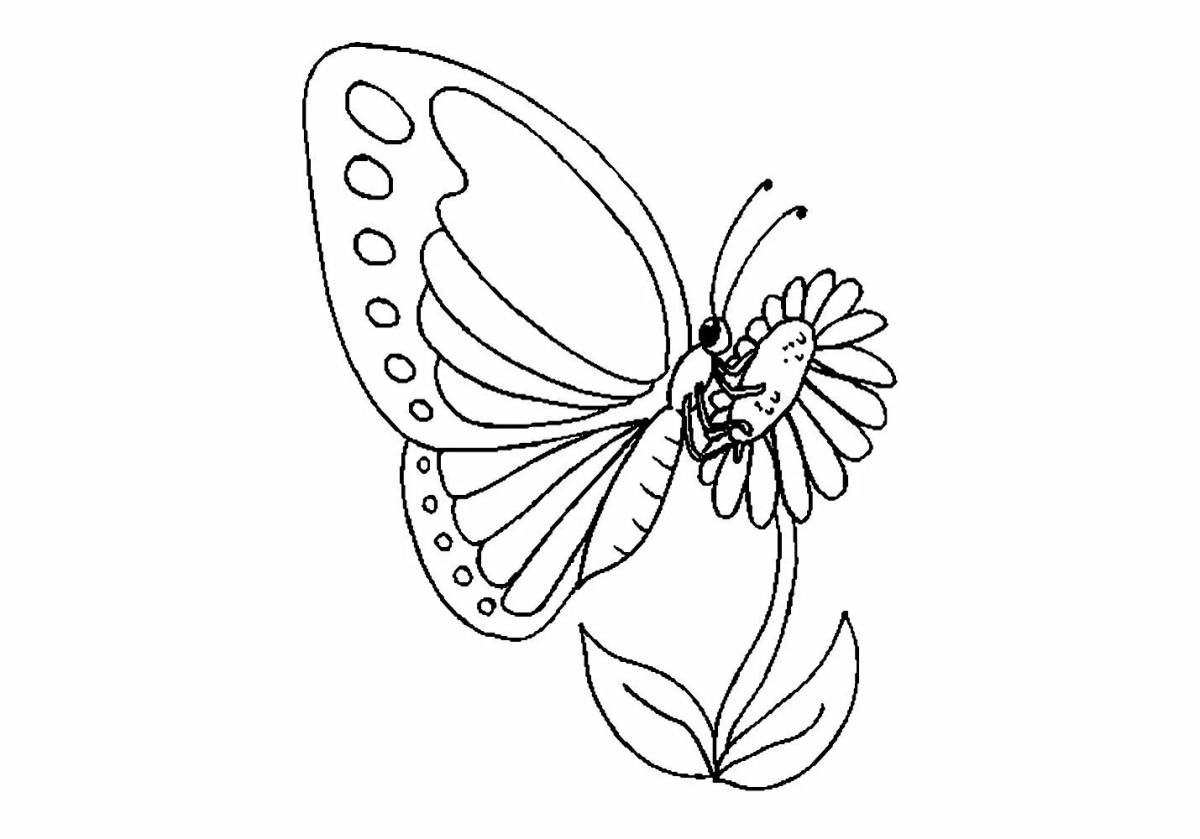 Бабочка аполлон #4
