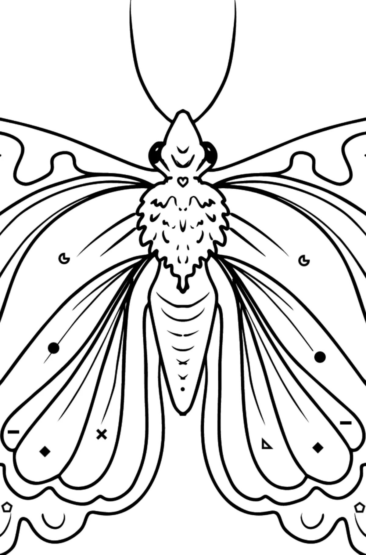 Apollo butterfly #10