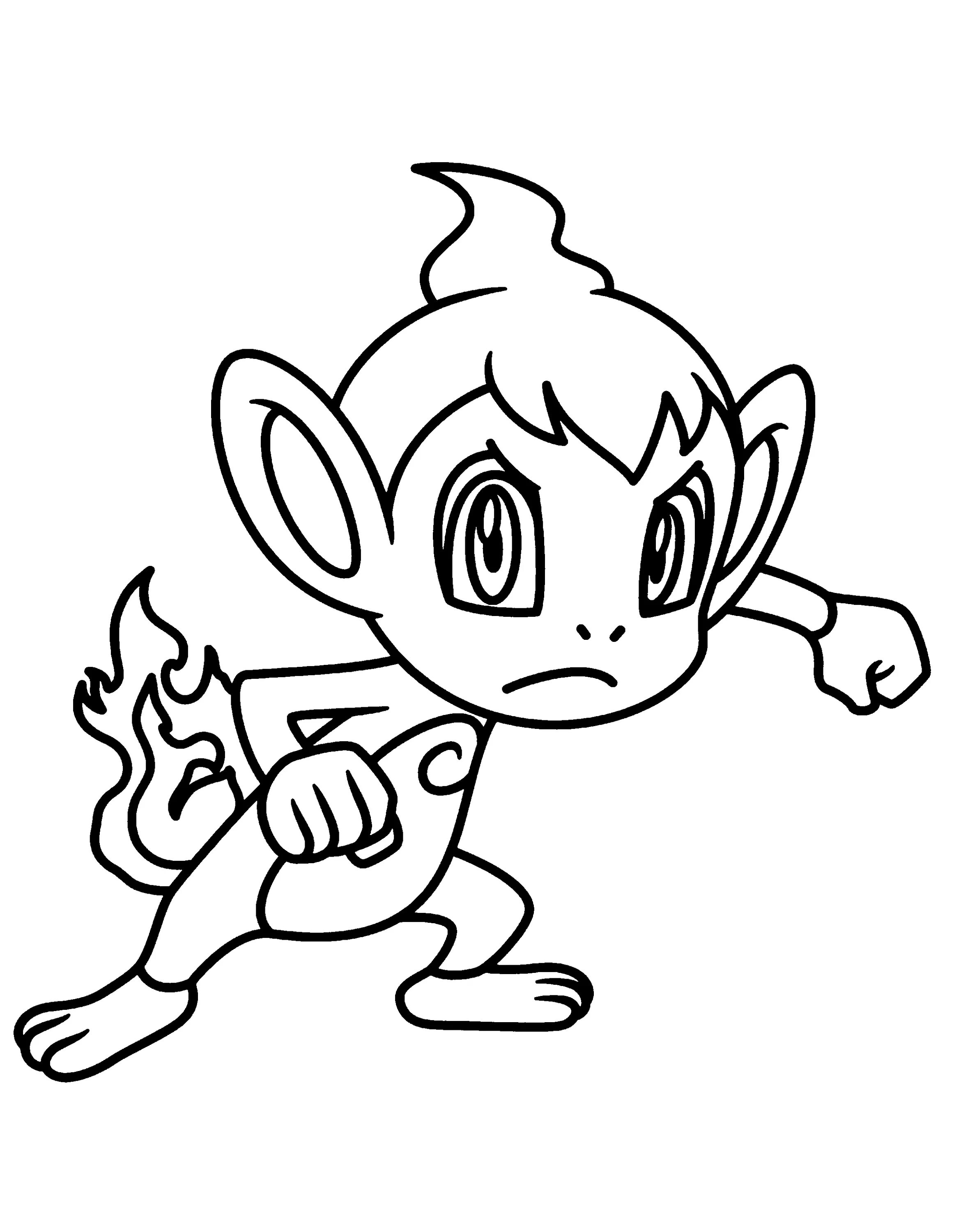 Coloring book shining chimchar