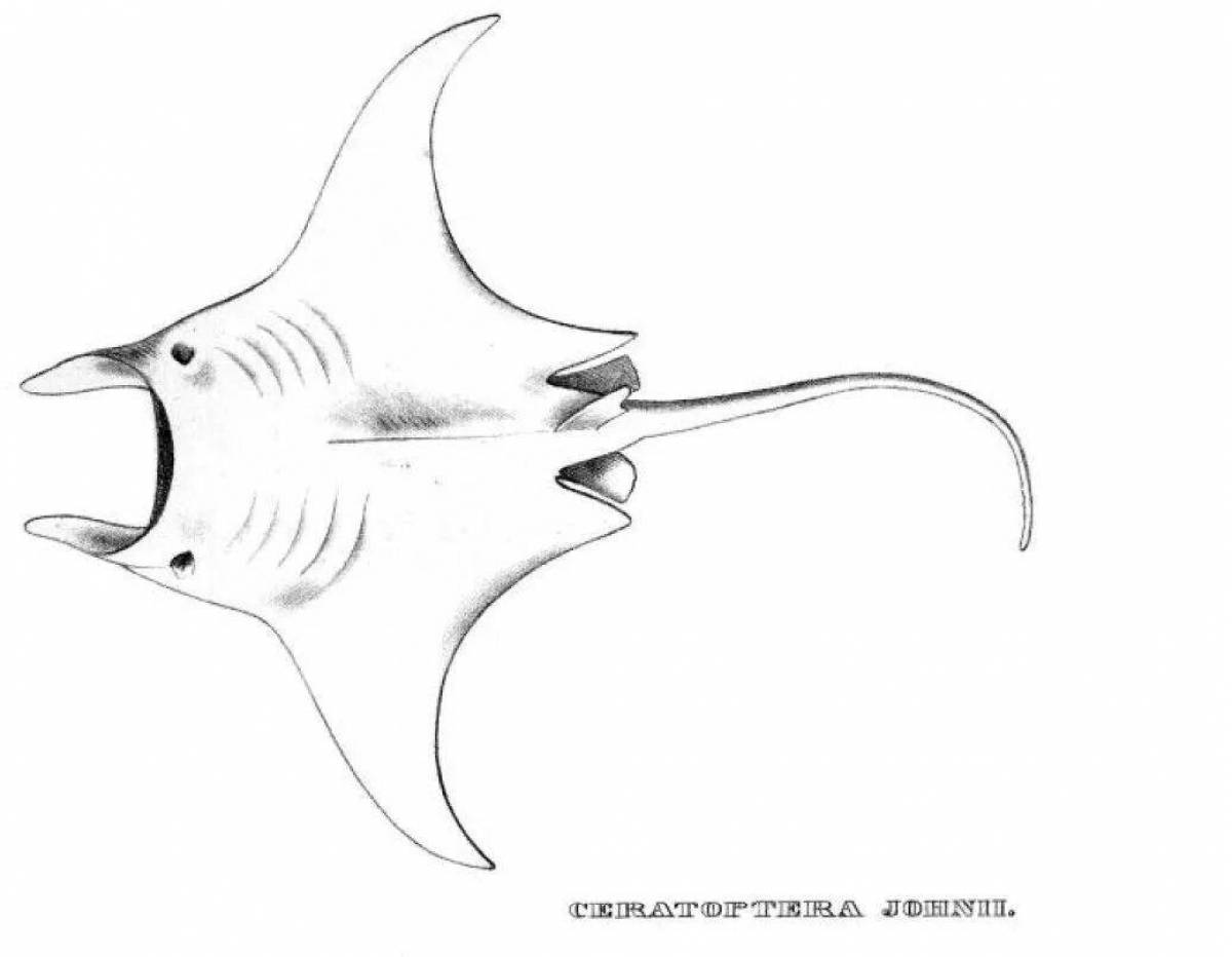 Изысканная раскраска manta ray