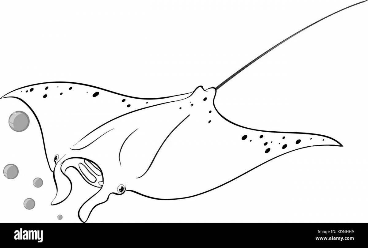 Amazing manta ray coloring page
