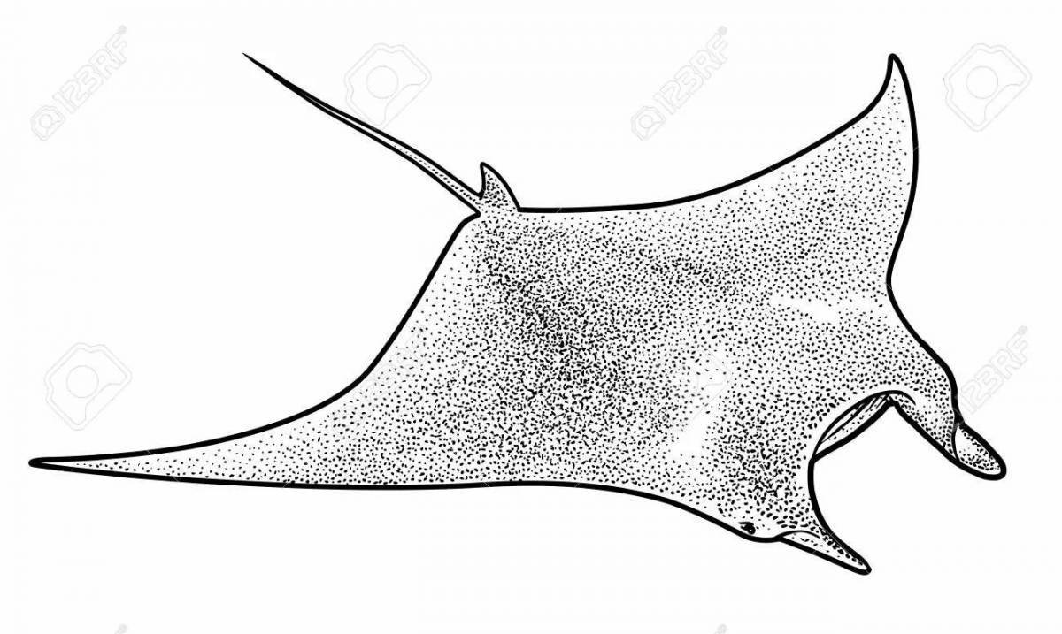 Adorable manta ray coloring page