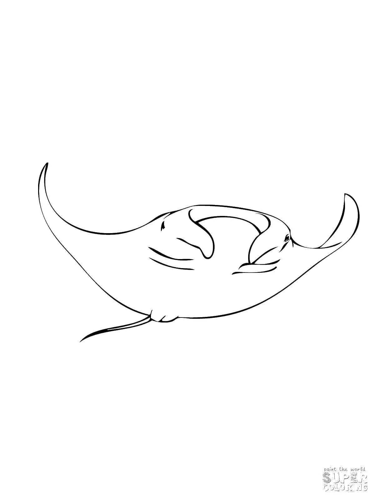 Coloring elegant manta ray