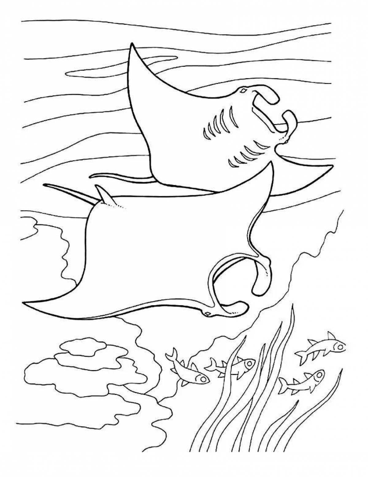 Dazzling manta ray coloring page