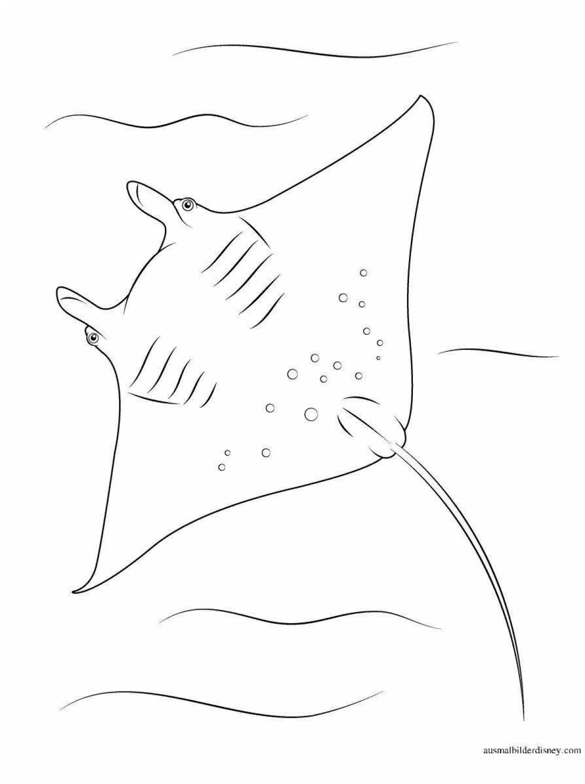 Увлекательная раскраска manta ray