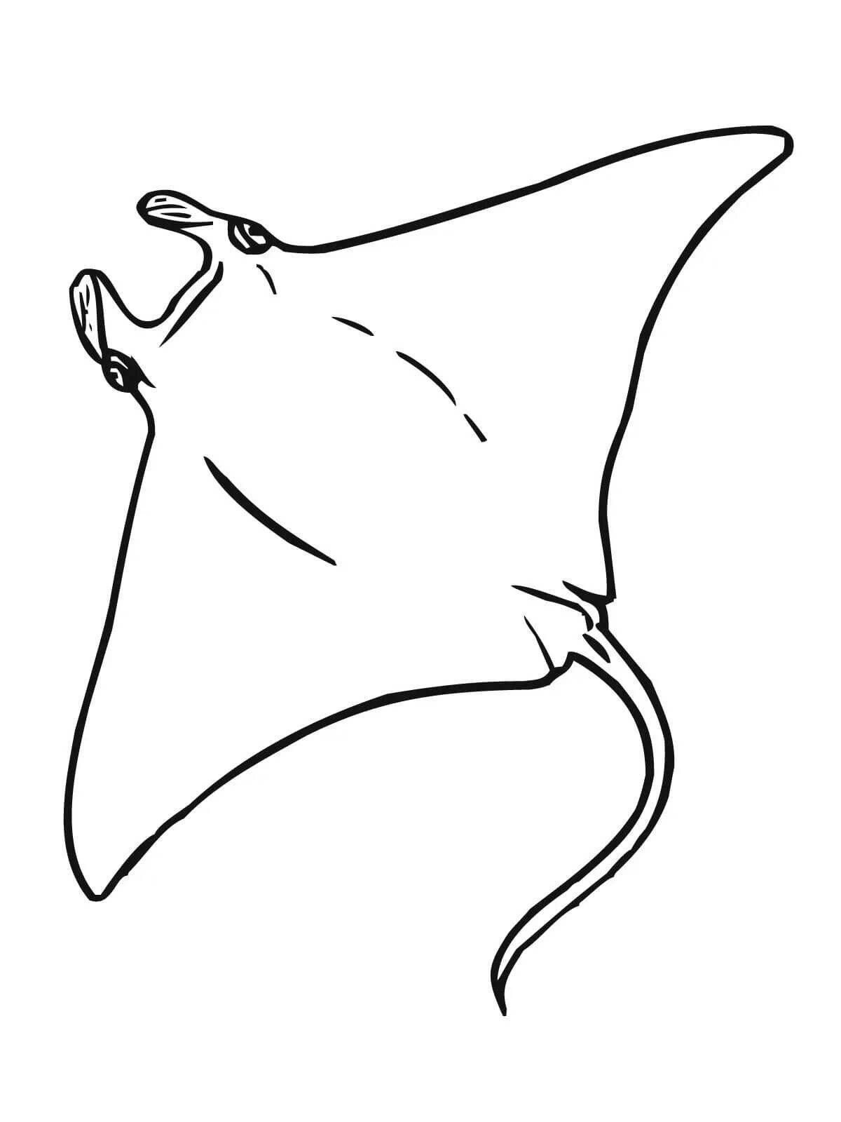 Впечатляющая раскраска manta ray