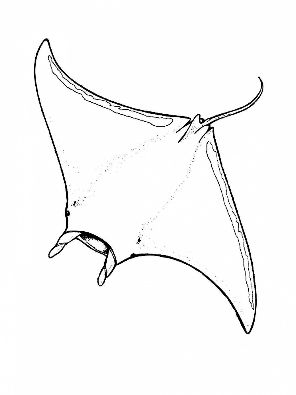 Интригующая раскраска manta ray
