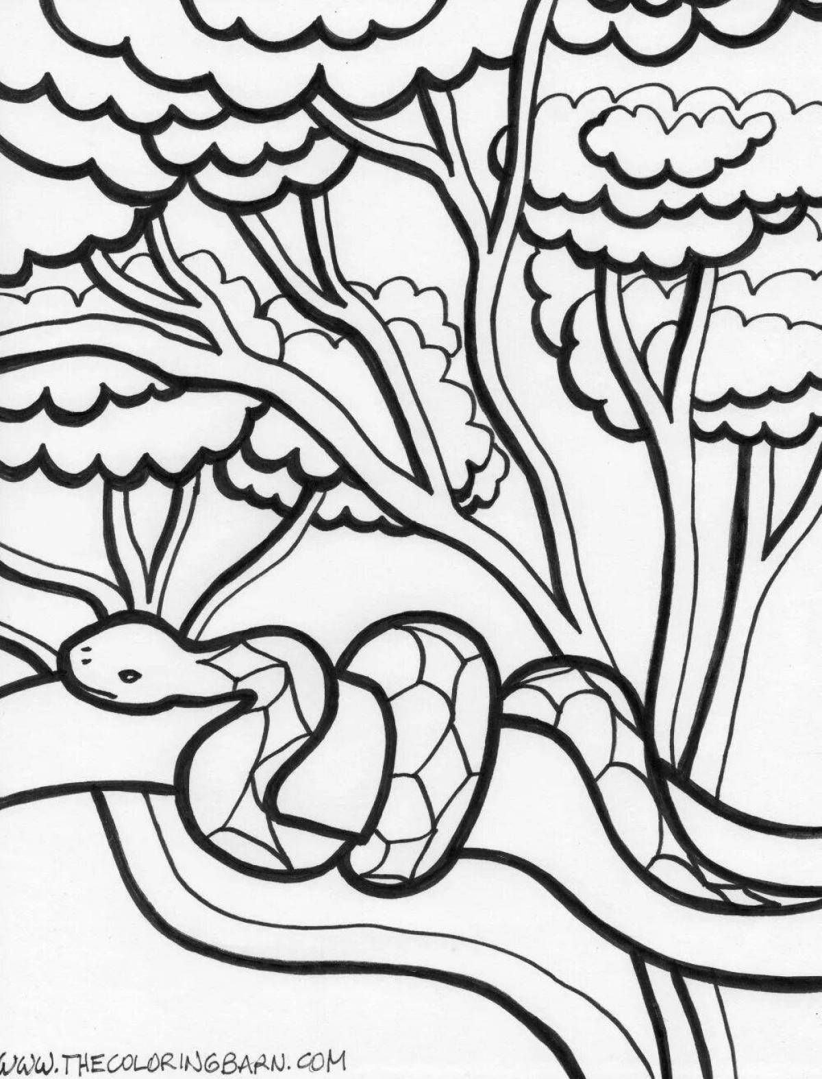 Colorful rainforest coloring page