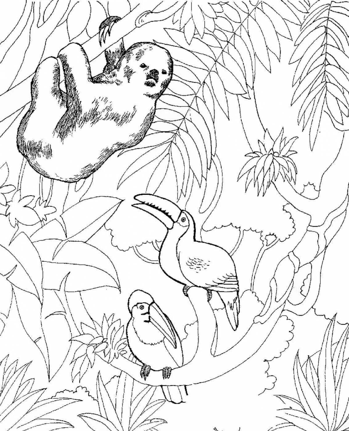 Coloring book shining tropical forest