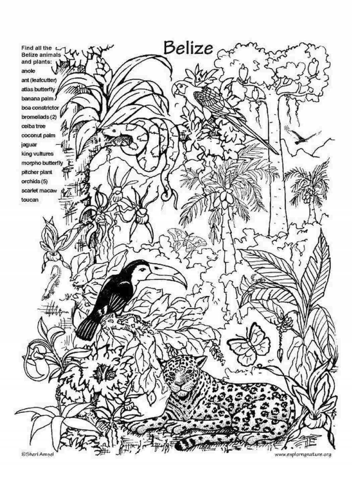 Scenic rainforest coloring page