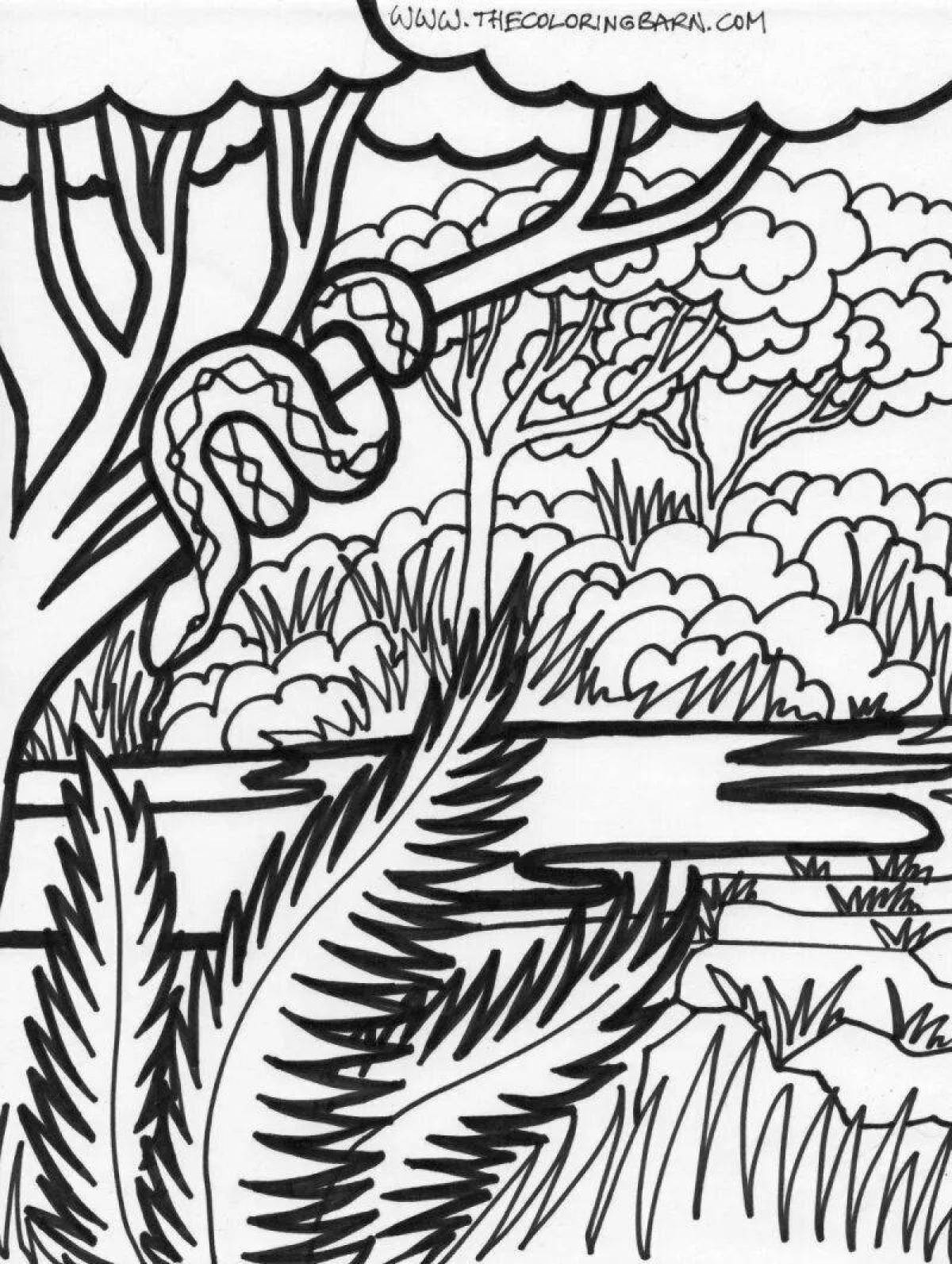 Amazing rainforest coloring page