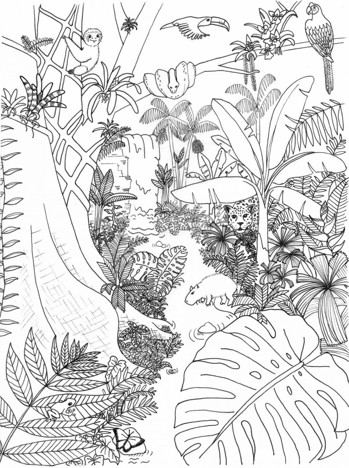 Inviting rainforest coloring page